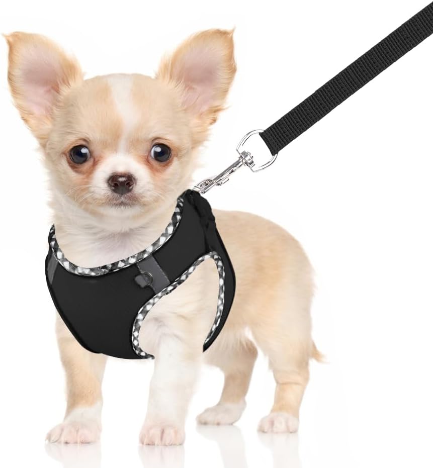 Dog Harness and Leash Set, No-Pull Adjustable Step in Puppy Vest | Lightweight Breathable Air Mesh, Soft Padded, Easy to Put On, Small Medium Breed Reflective Pet Harness for Walking