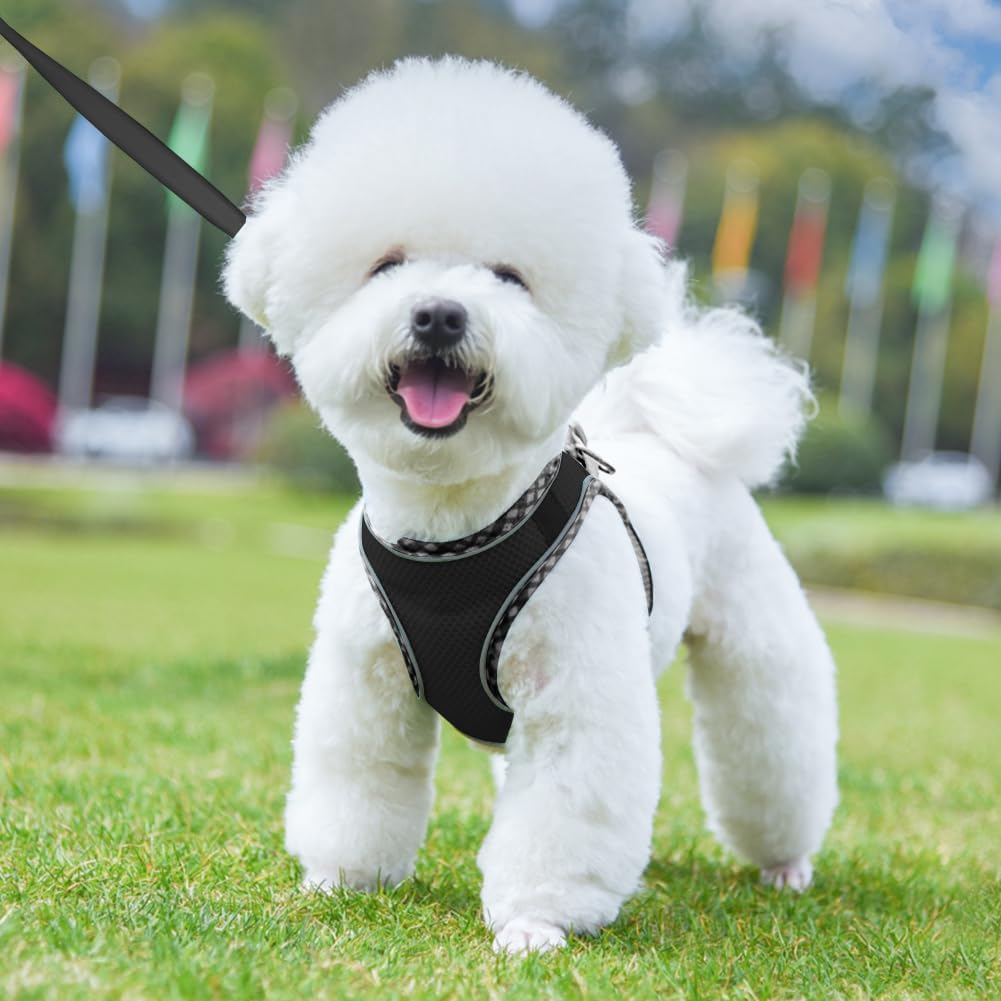Dog Harness and Leash Set, No-Pull Adjustable Step in Puppy Vest | Lightweight Breathable Air Mesh, Soft Padded, Easy to Put On, Small Medium Breed Reflective Pet Harness for Walking